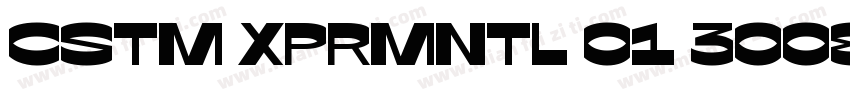 CSTM XPRMNTL 01 30082017字体转换